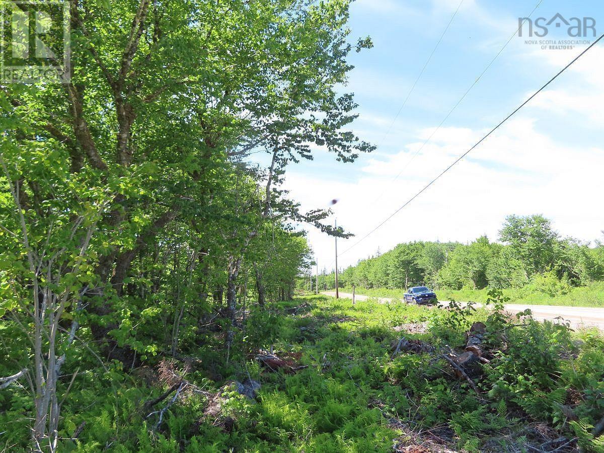 Lot 4 Loch Lomond Road Property Photo 20