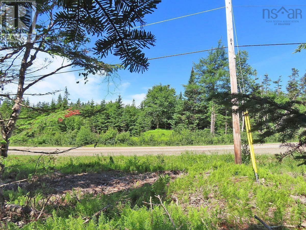 Lot 4 Loch Lomond Road Property Photo 21
