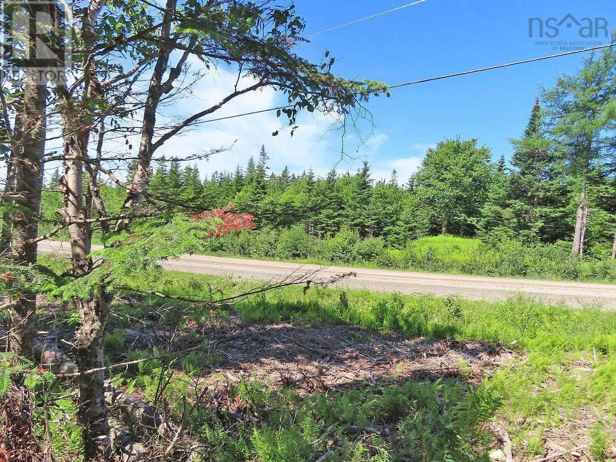 Lot 4 Loch Lomond Road Property Photo 22
