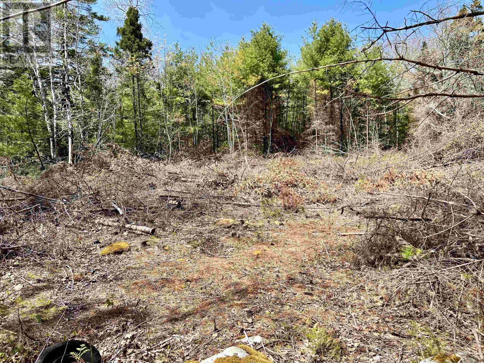 Lot Highway 3 Property Photo 2