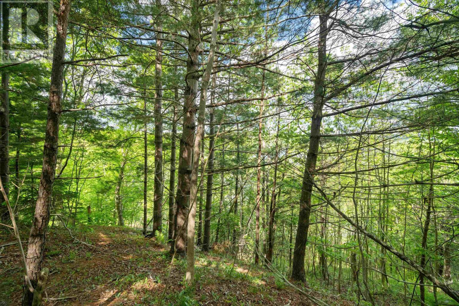 27 Copperhead Road Property Photo 1