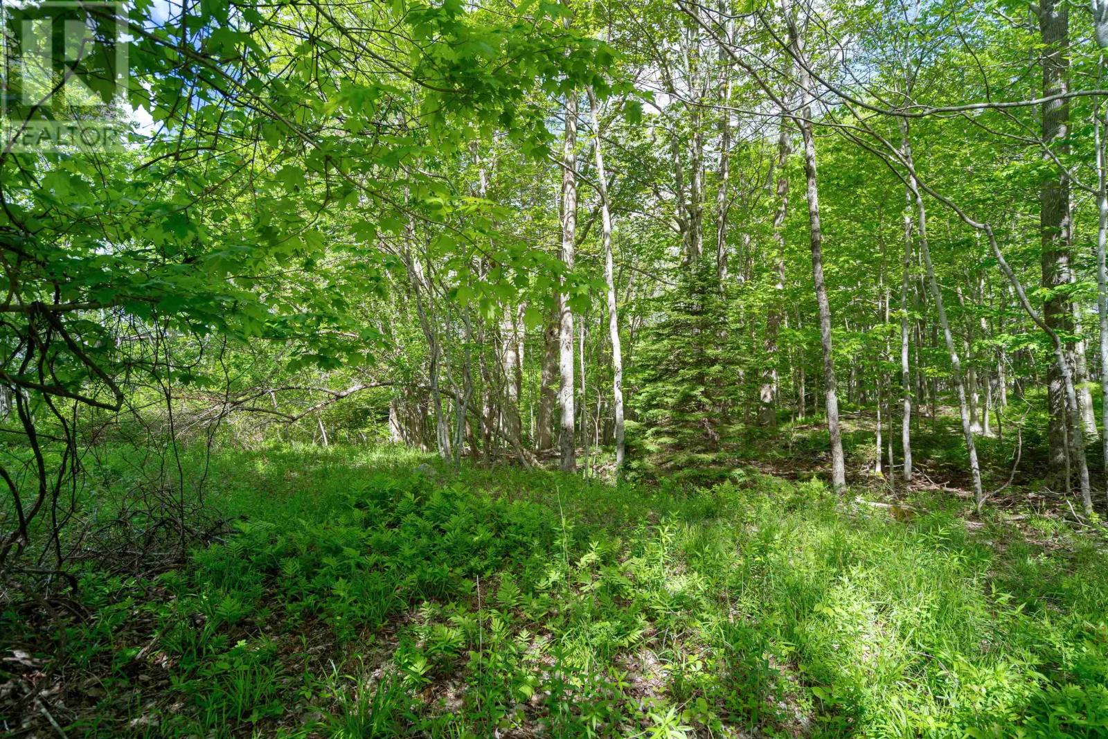 27 Copperhead Road Property Photo 2