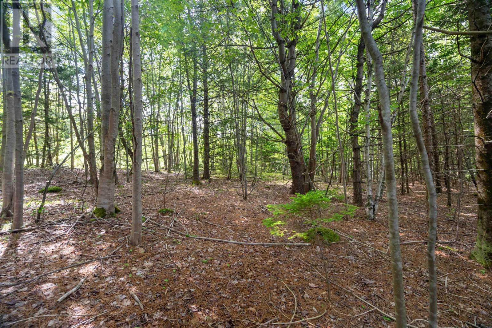 27 Copperhead Road Property Photo 4