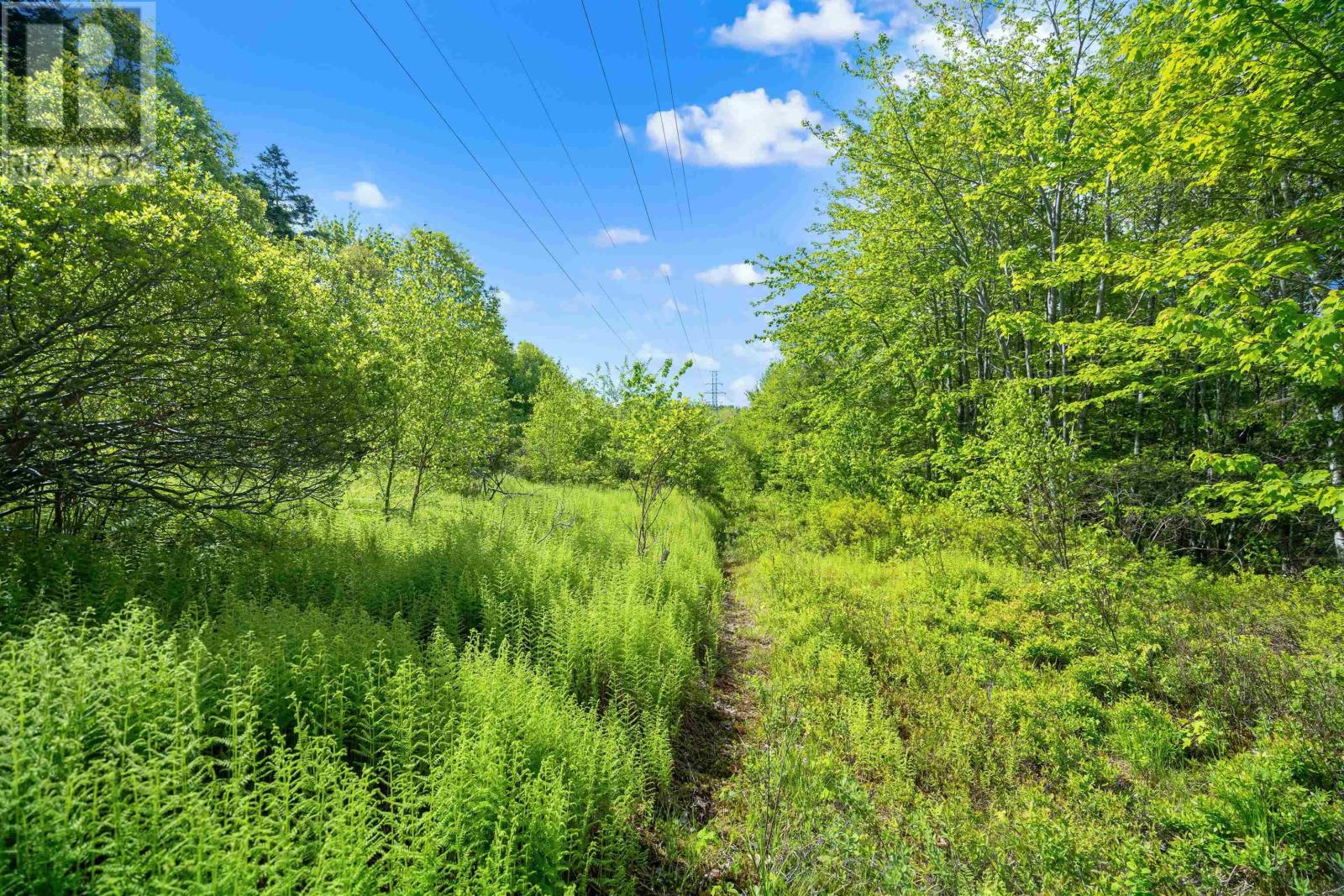 27 Copperhead Road Property Photo 5