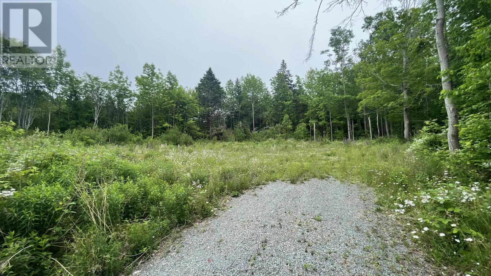 4398 Highway 1 Property Photo 22