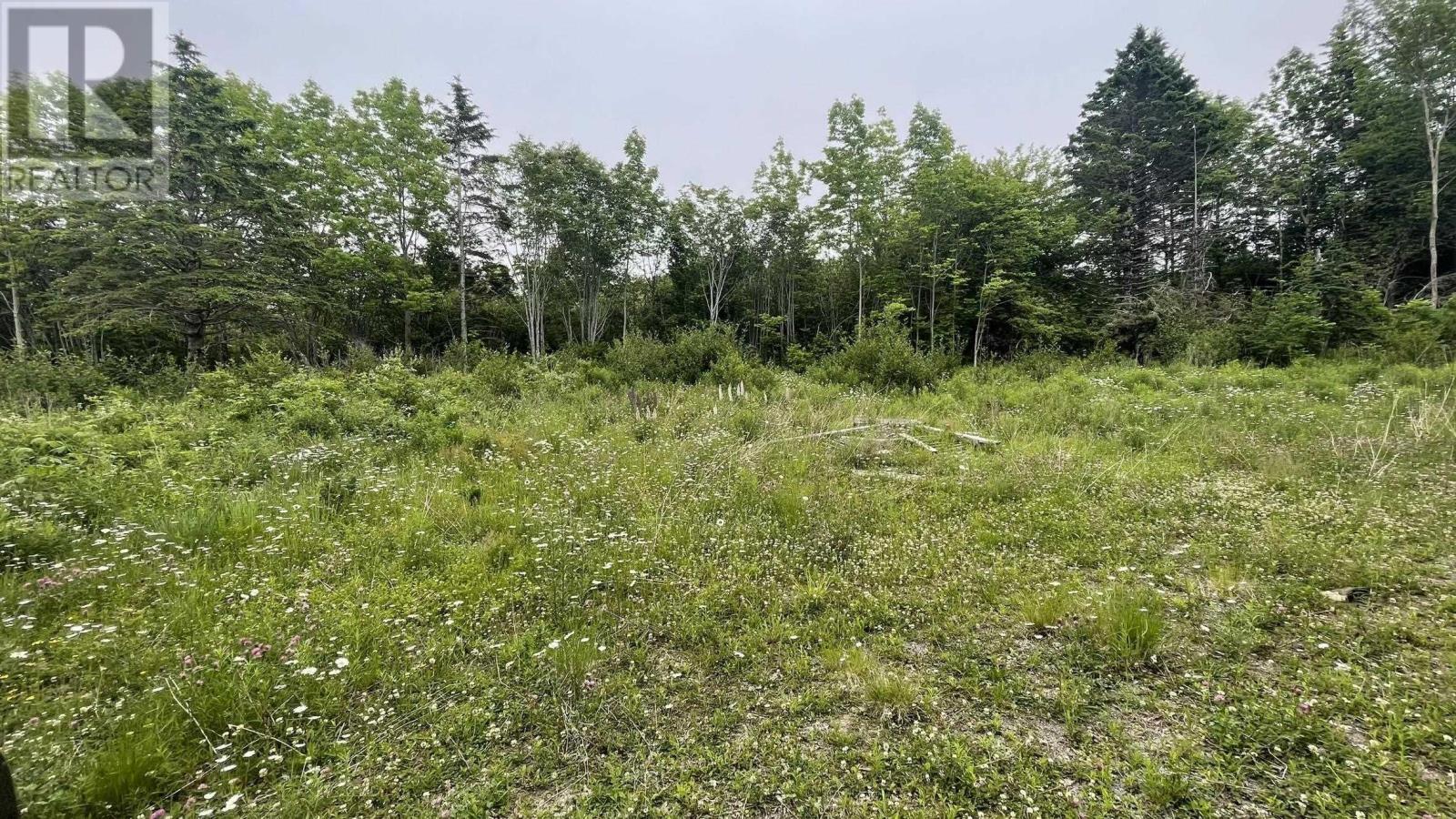 4398 Highway 1 Property Photo 23