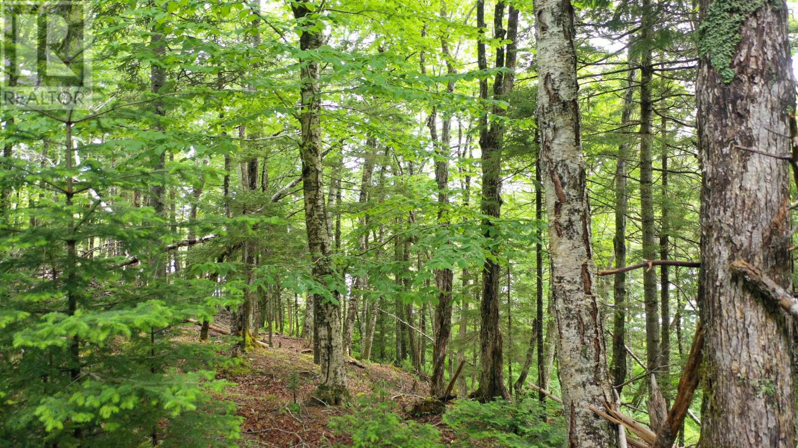 Lot 13 Old Ellie Lane, Jeans Point Subdivision Phase Iii Property Photo 2
