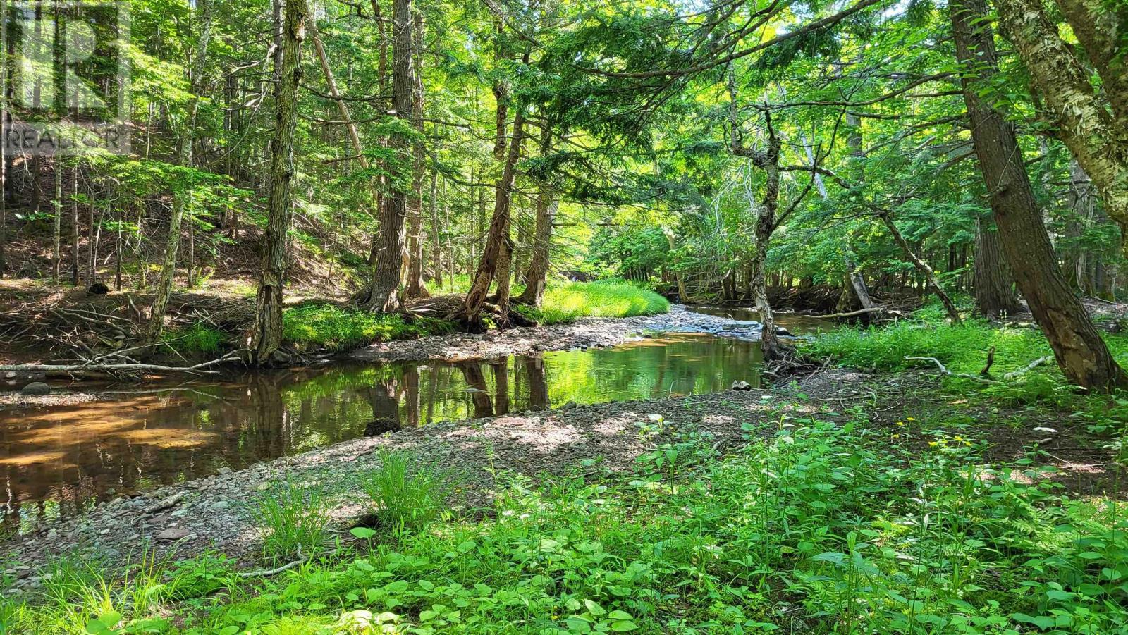 35+ Acres 256 Highway Property Photo 1