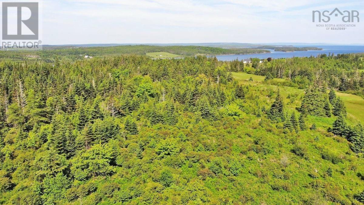 Lot 2 Old Trunk 4 Highway Property Photo 6