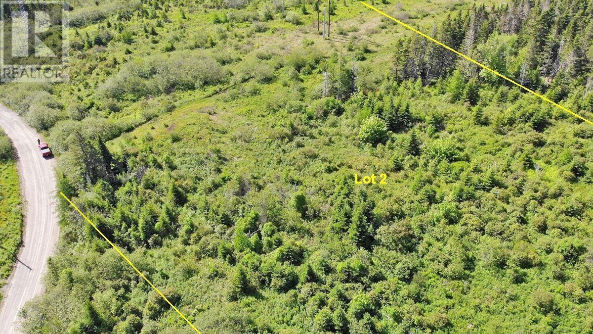 Lot 2 Old Trunk 4 Highway Property Photo 10