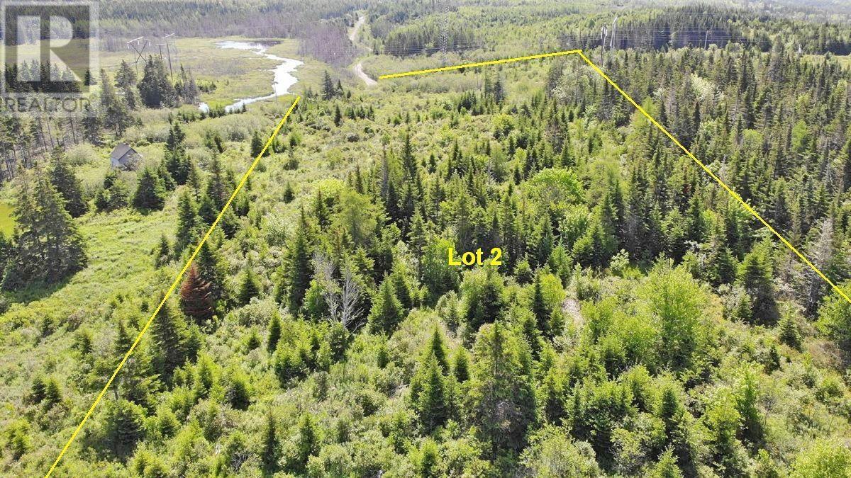 Lot 2 Old Trunk 4 Highway Property Photo 11