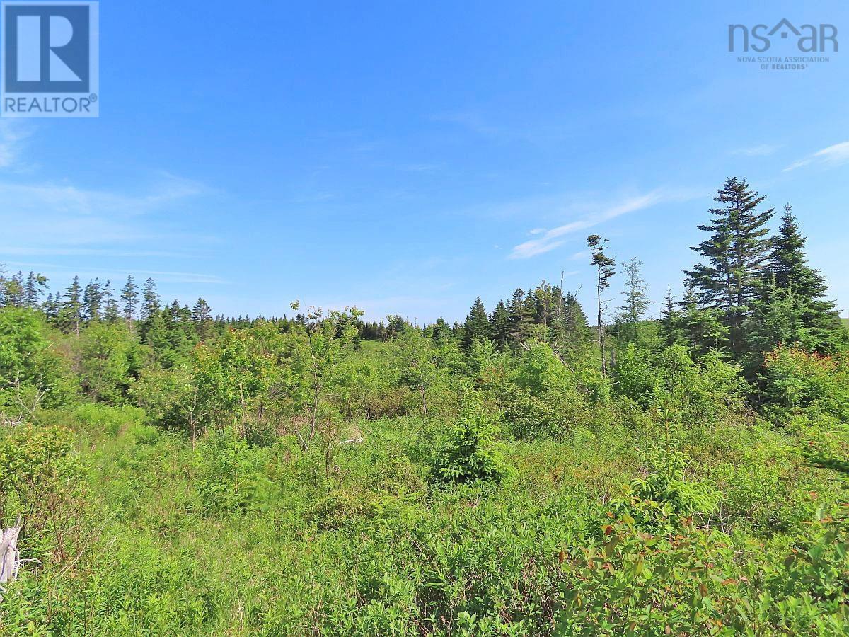Lot 2 Old Trunk 4 Highway Property Photo 15