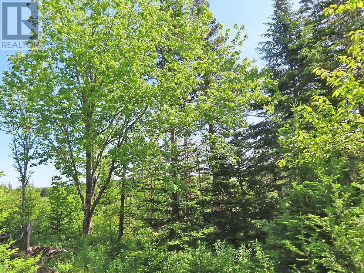 Lot 2 Old Trunk 4 Highway Property Photo 16