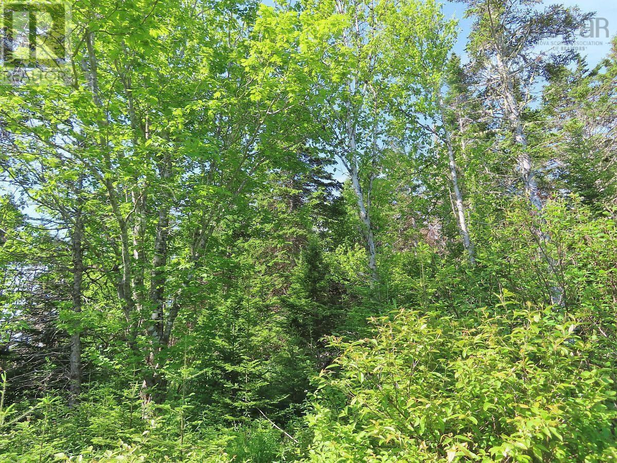 Lot 2 Old Trunk 4 Highway Property Photo 18
