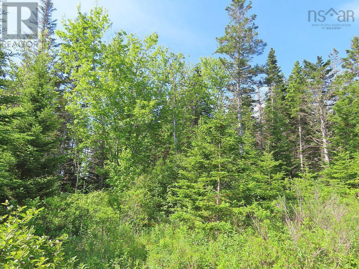 Lot 2 Old Trunk 4 Highway Property Photo 19