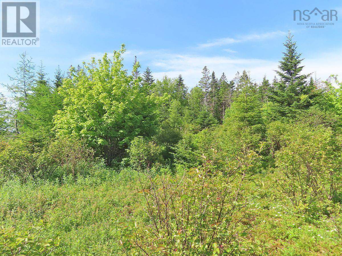 Lot 2 Old Trunk 4 Highway Property Photo 20