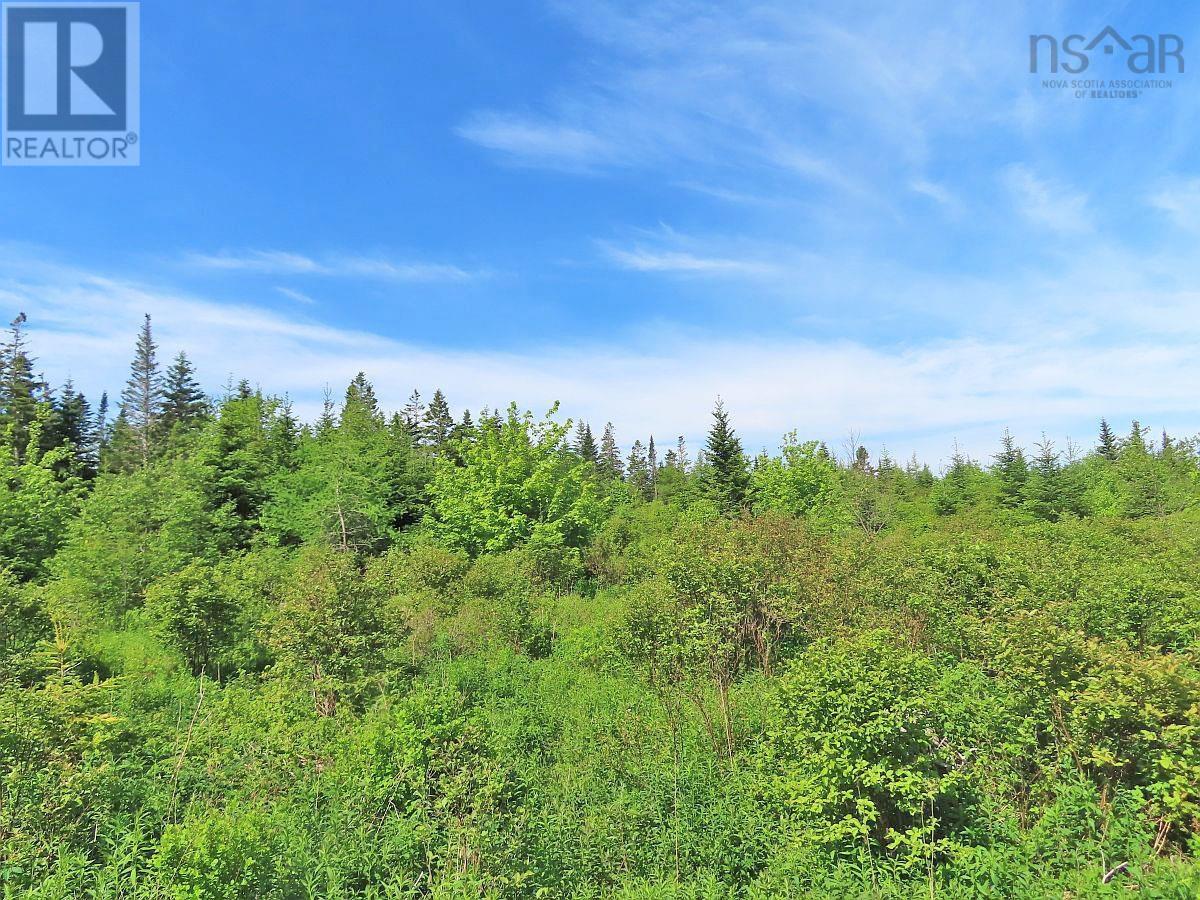 Lot 2 Old Trunk 4 Highway Property Photo 21