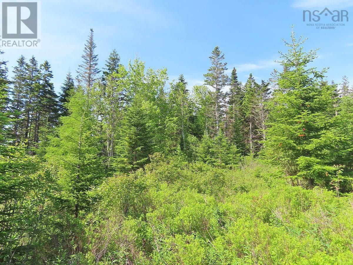 Lot 2 Old Trunk 4 Highway Property Photo 22