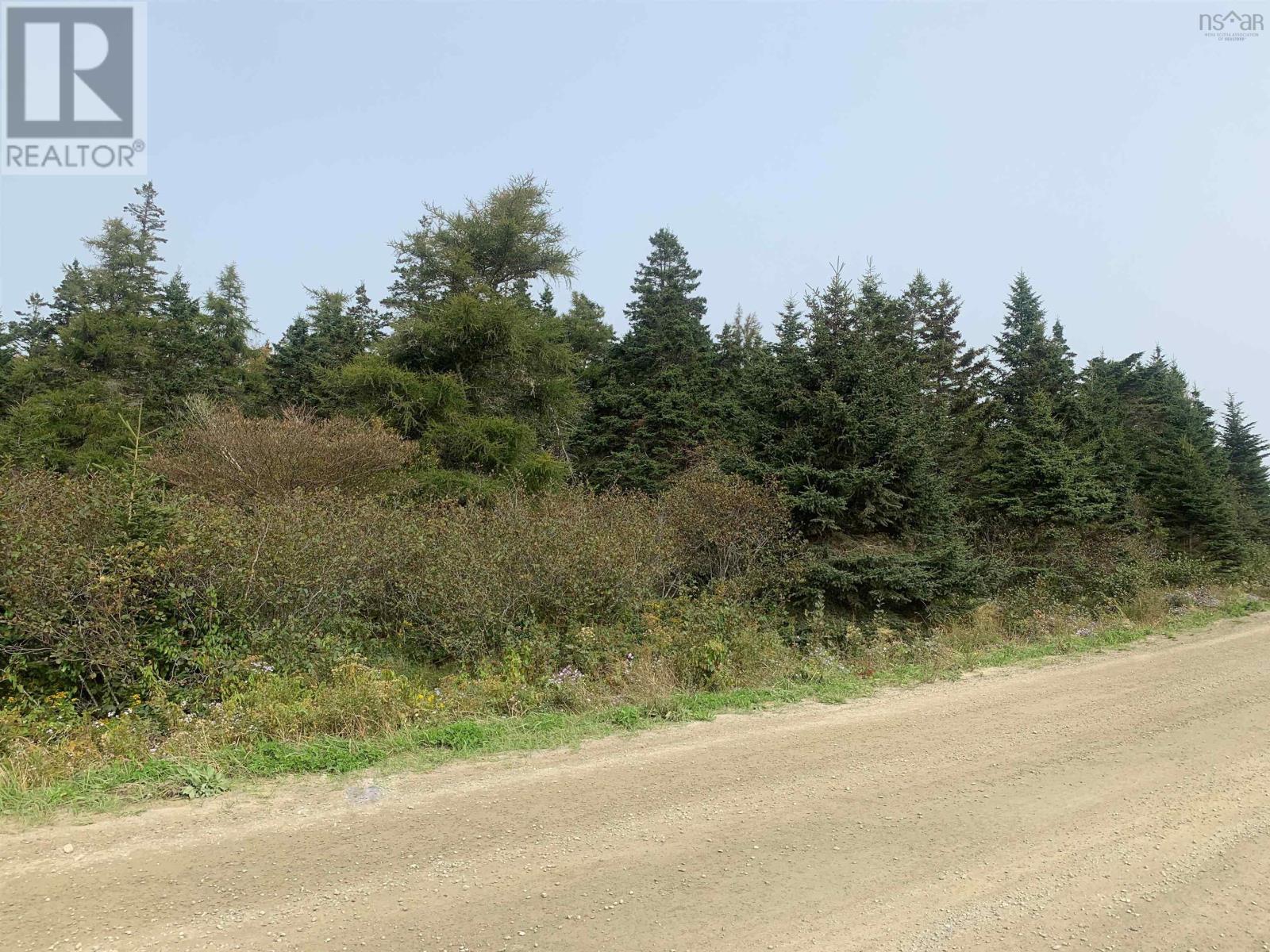 Lot C Leblanc Branch Road Property Photo 5