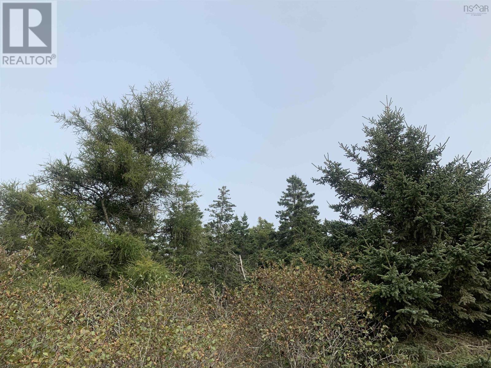 Lot C Leblanc Branch Road Property Photo 6