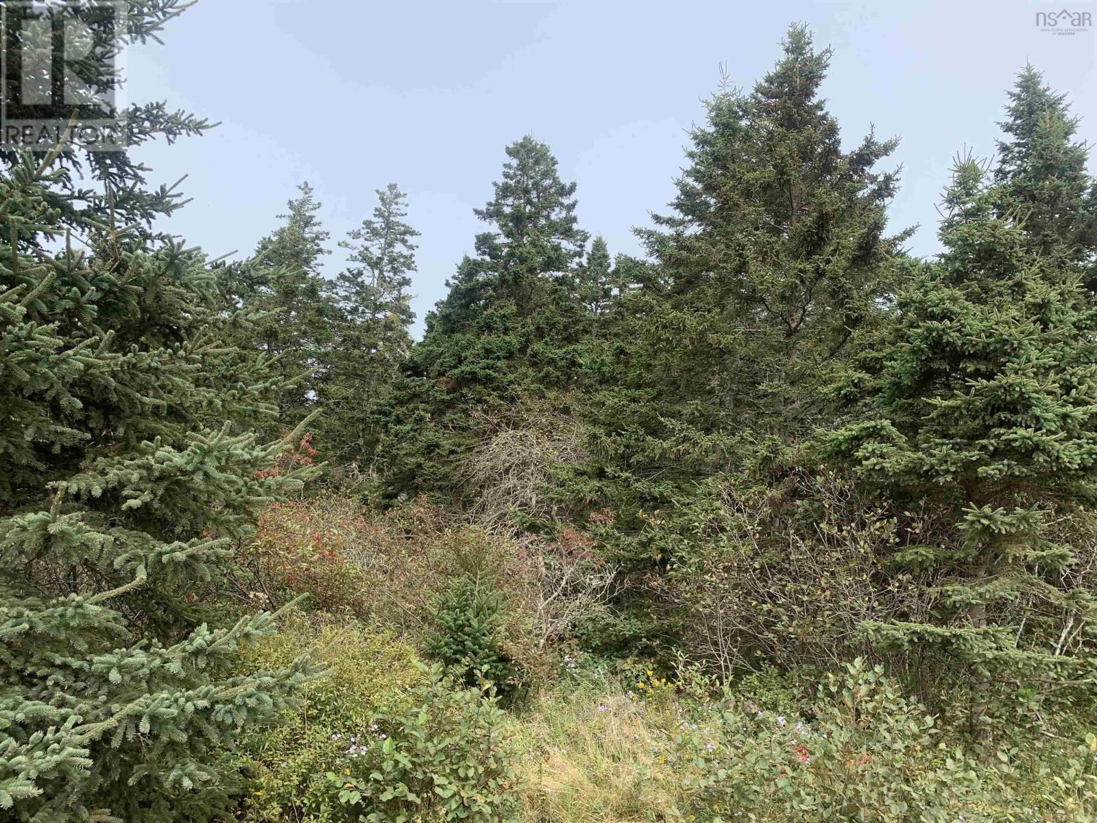 Lot C Leblanc Branch Road Property Photo 7