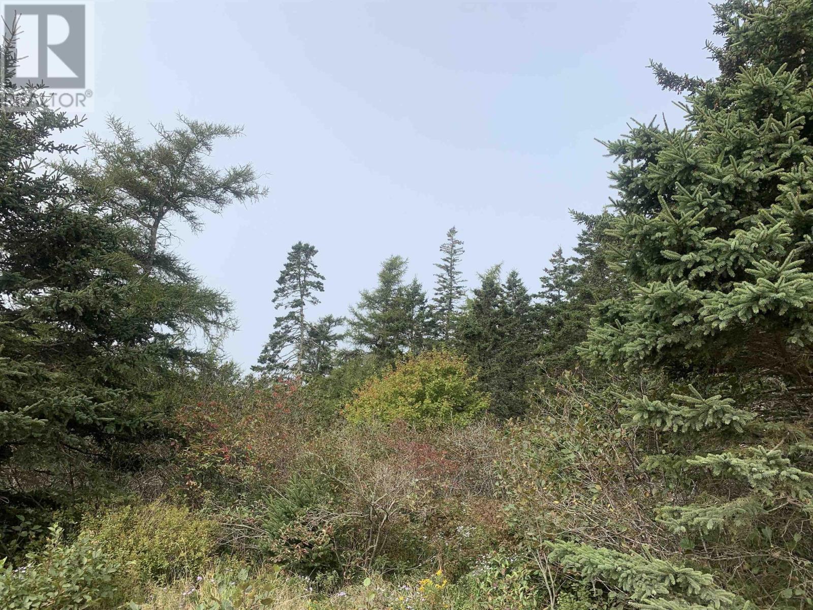 Lot C Leblanc Branch Road Property Photo 8