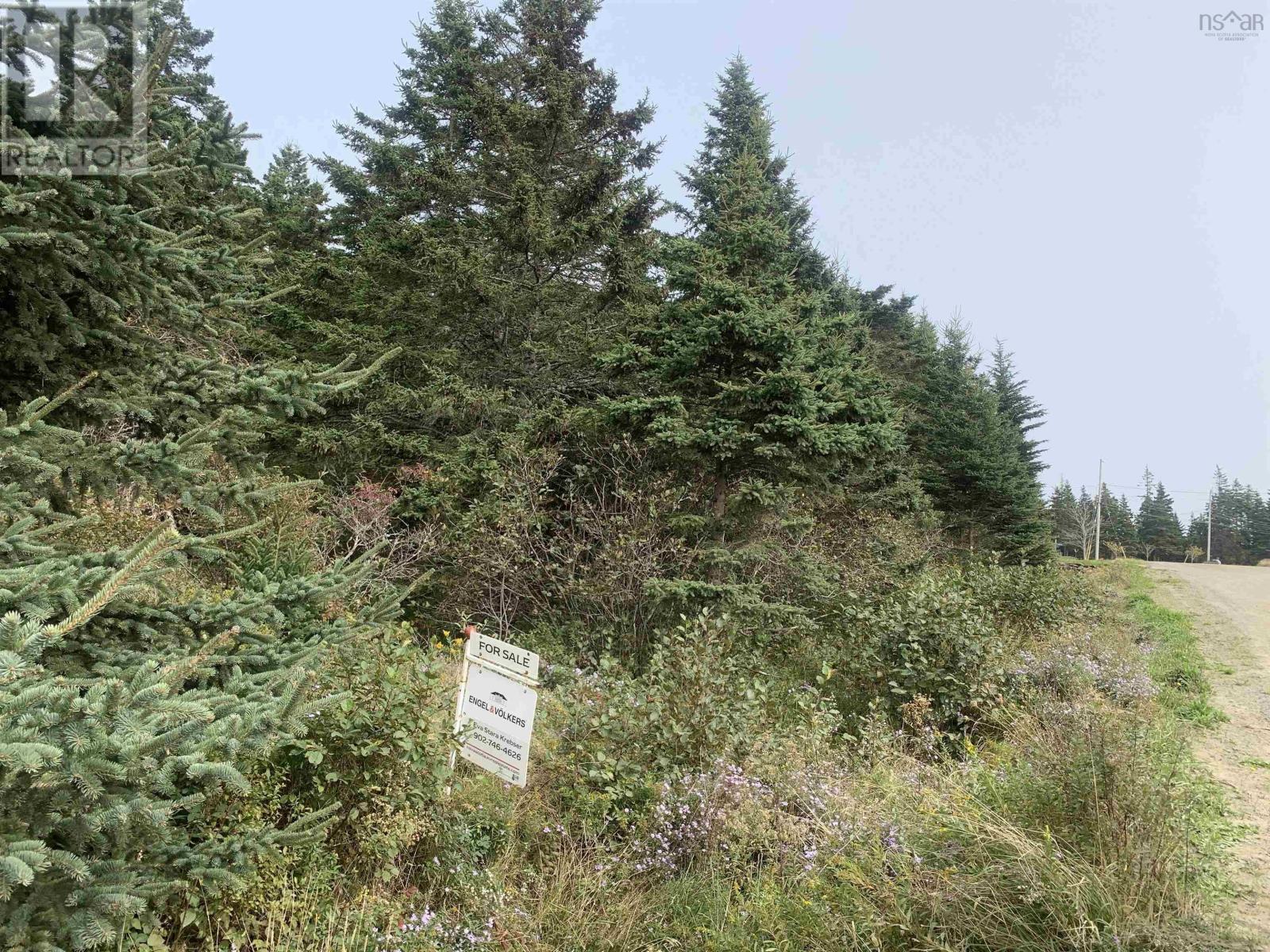 Lot C Leblanc Branch Road Property Photo 9