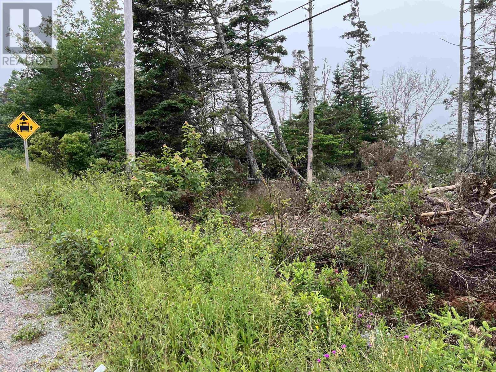 26431 Highway 7 Property Photo 3
