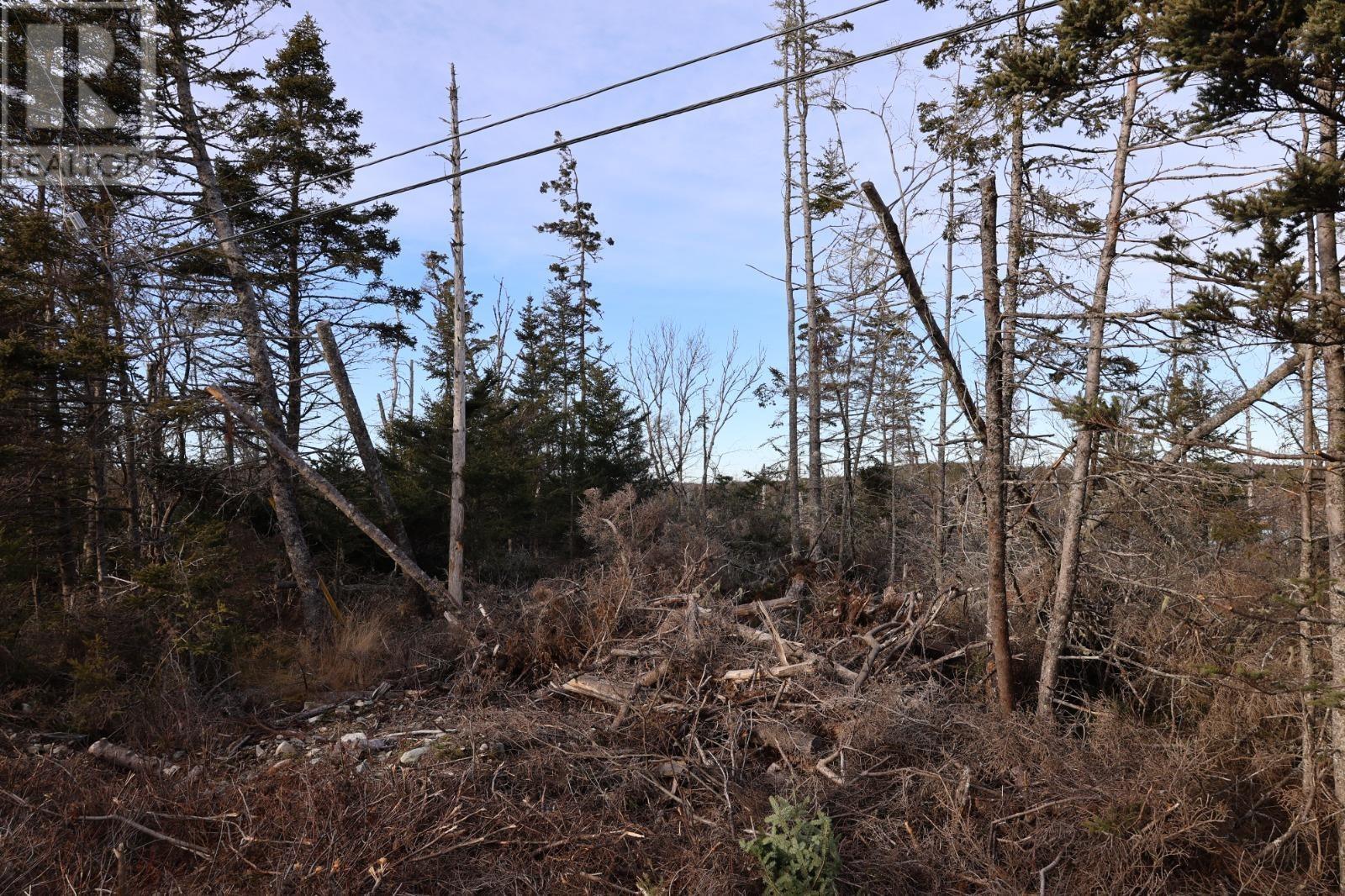 26431 Highway 7 Property Photo 7
