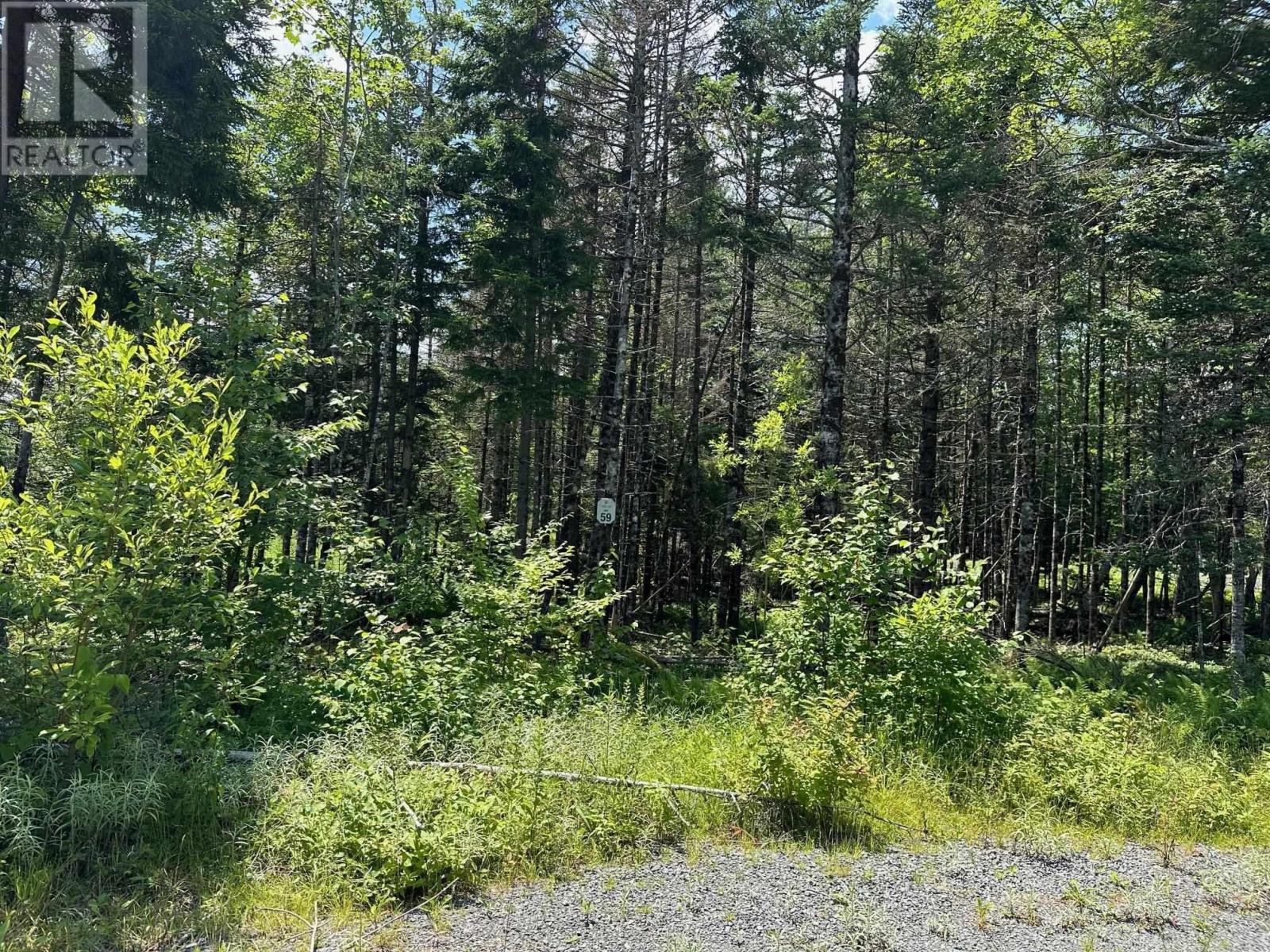 58 Black Cherry Lane Property Photo 3