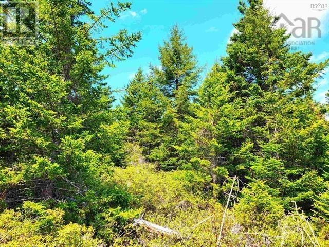 Lot Back Road Property Photo 3