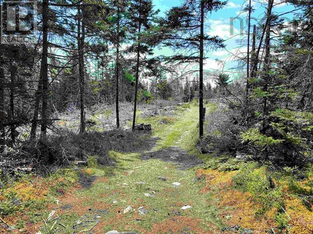 Lot Back Road Property Photo 4