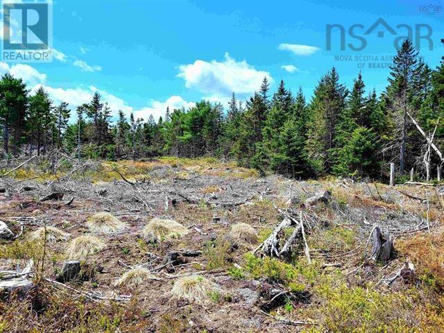 Lot Back Road Property Photo 5