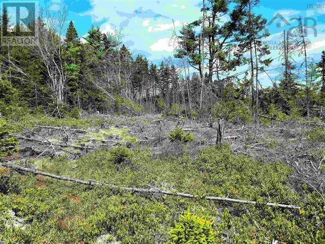 Lot Back Road Property Photo 9