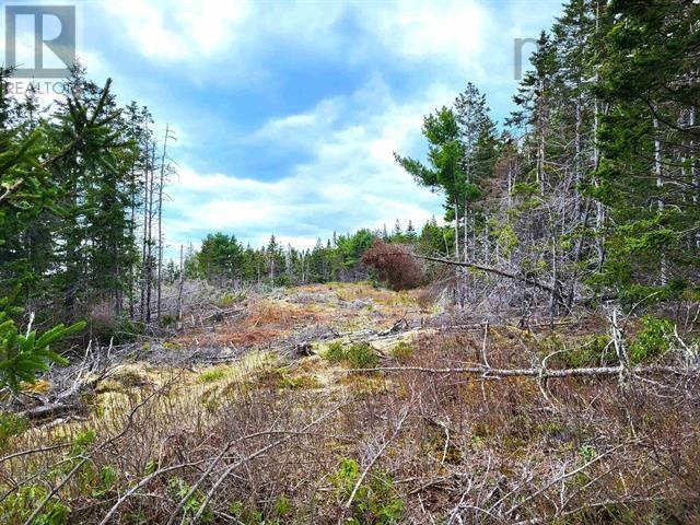 Lot Back Road Property Photo 10