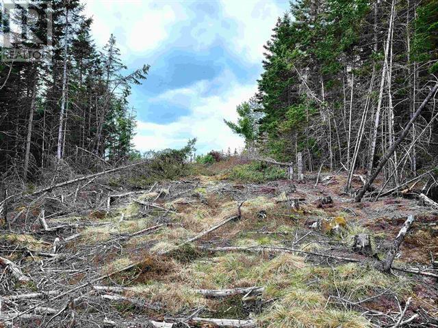 Lot Back Road Property Photo 11