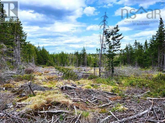 Lot Back Road Property Photo 12