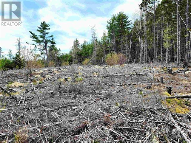 Lot Back Road Property Photo 15