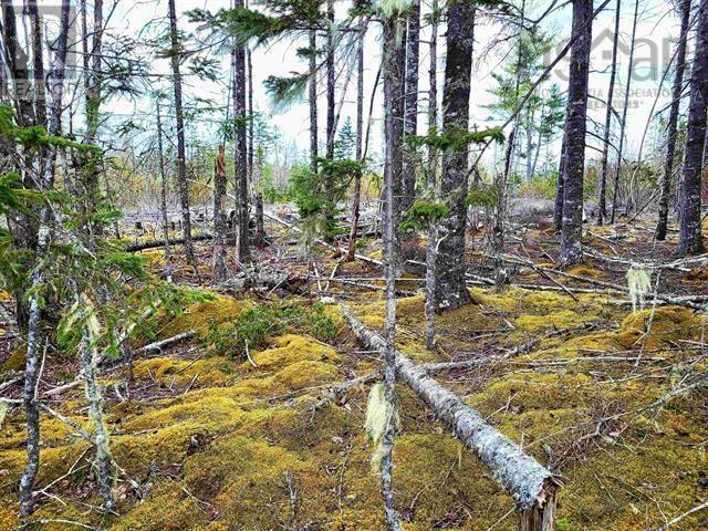 Lot Back Road Property Photo 16