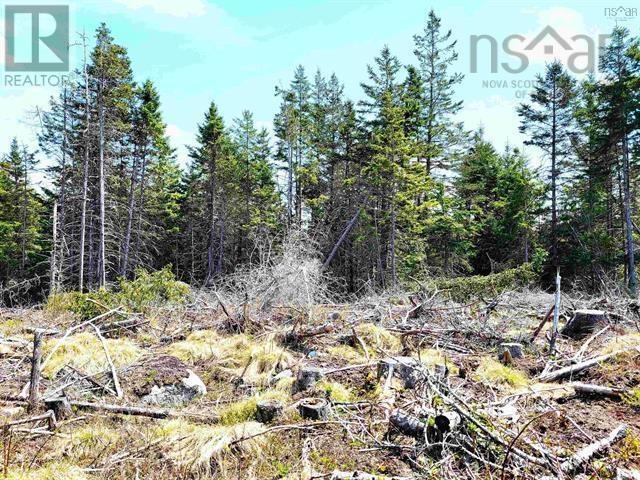 Lot Back Road Property Photo 17