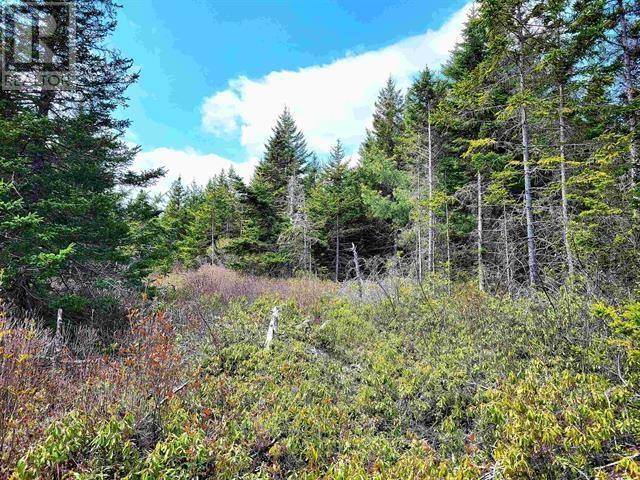 Lot Back Road Property Photo 20
