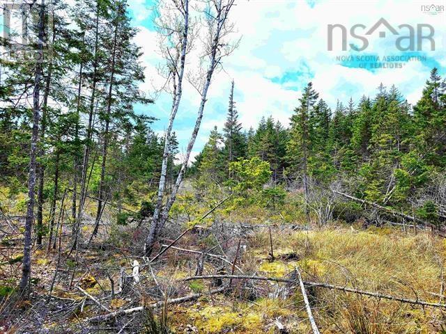 Lot Back Road Property Photo 22