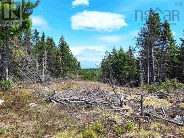 Lot Back Road Property Photo 23