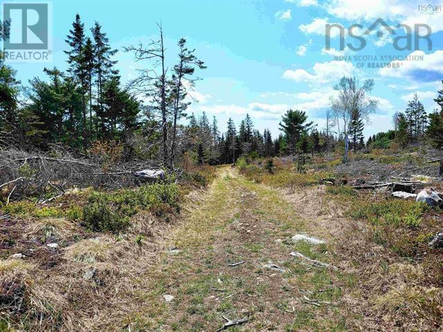 Lot Back Road Property Photo 24