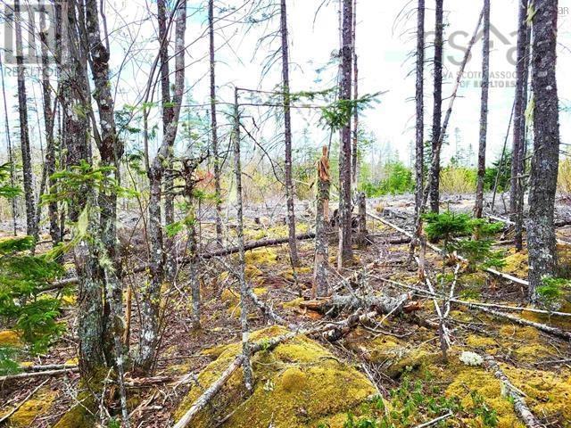 Lot Back Road Property Photo 25