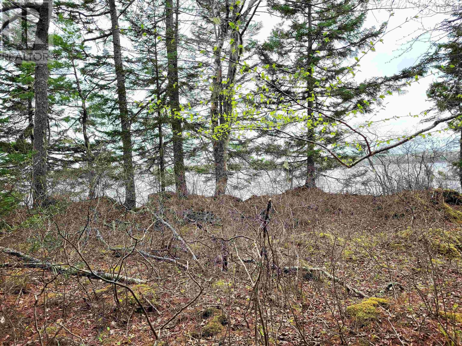 Lot Hirtle Road Property Photo 21