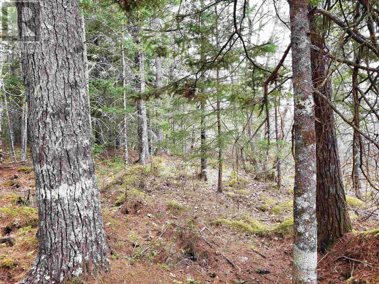 Lot Hirtle Road Property Photo 22