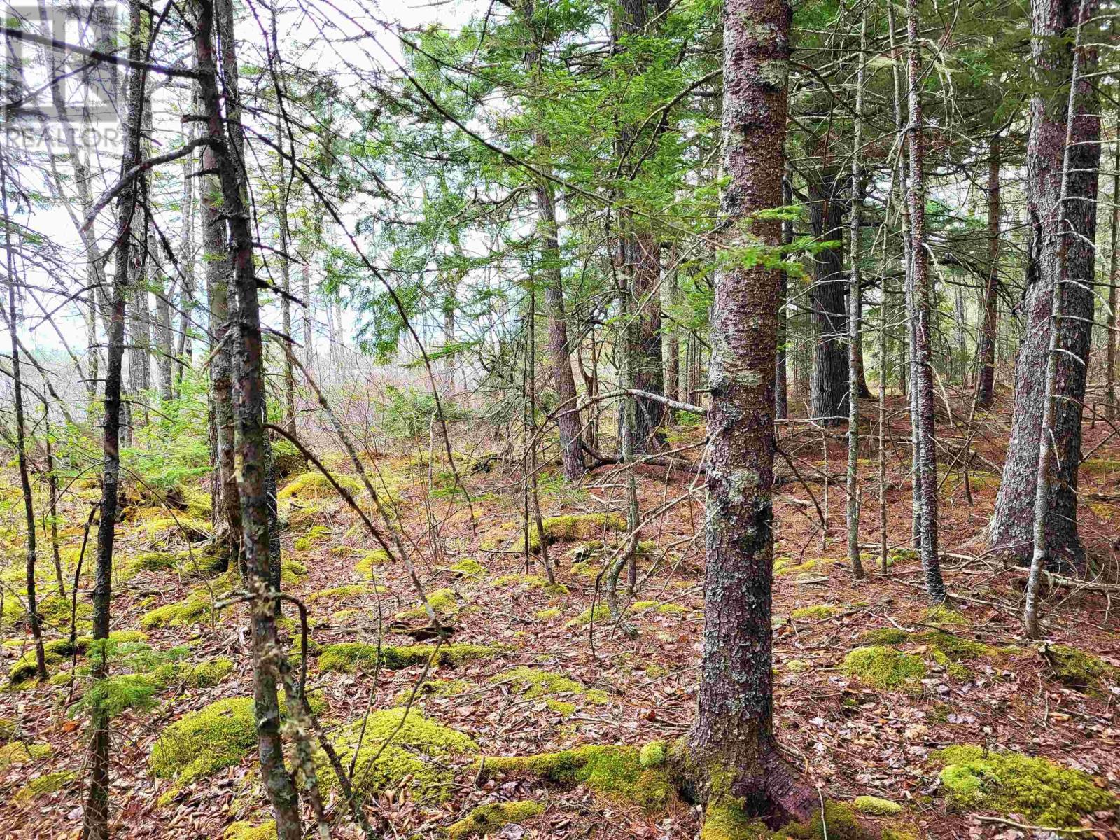 Lot Hirtle Road Property Photo 23
