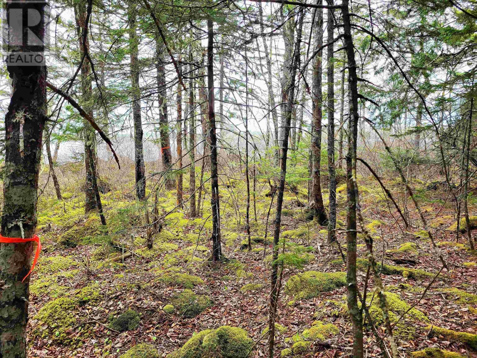 Lot Hirtle Road Property Photo 24