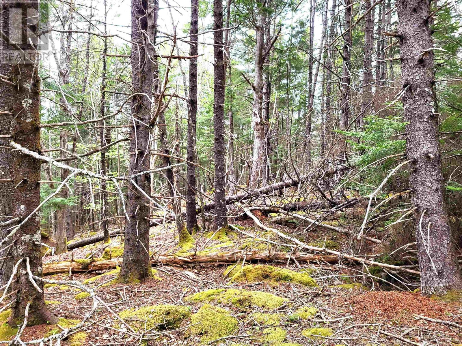 Lot Hirtle Road Property Photo 26